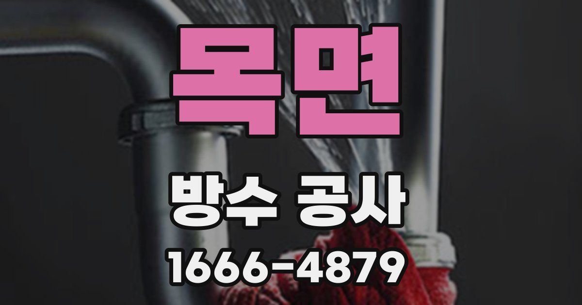 목면 방수 공사