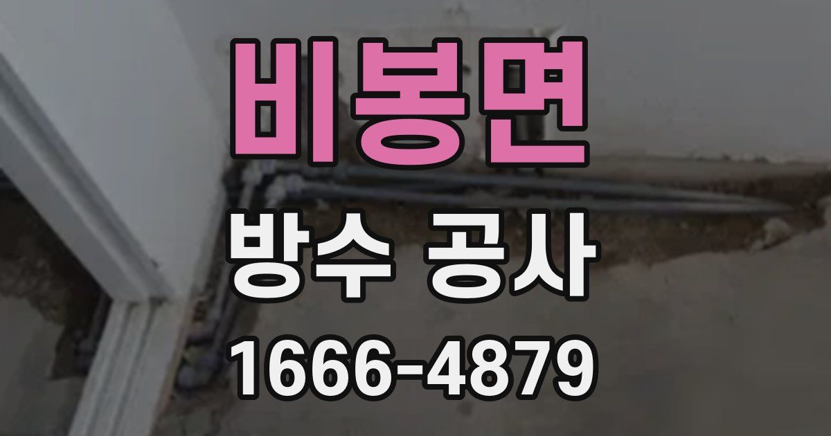 비봉면 방수 공사