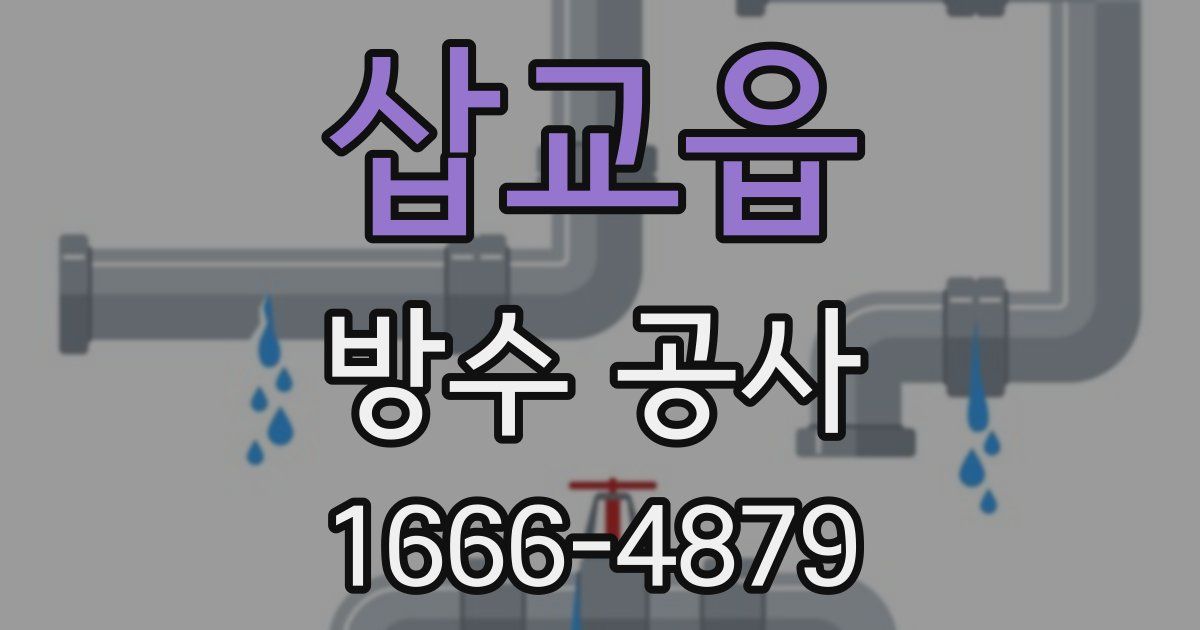 삽교읍 방수 공사