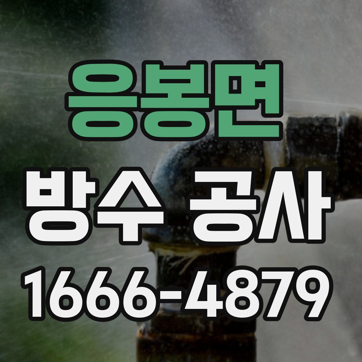 응봉면 방수 공사