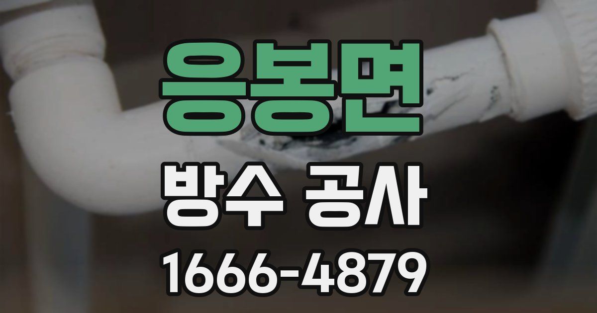 응봉면 방수 공사