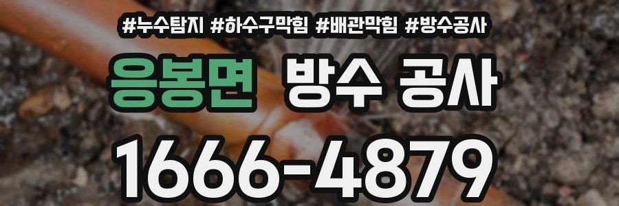 응봉면 방수 공사