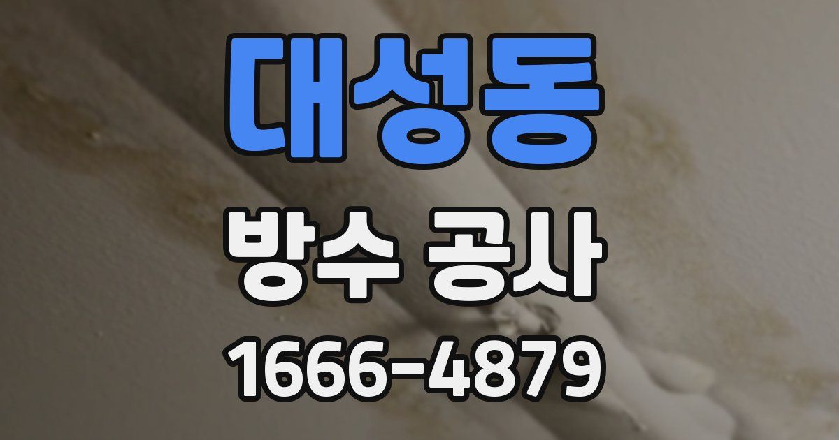 대성동 방수 공사