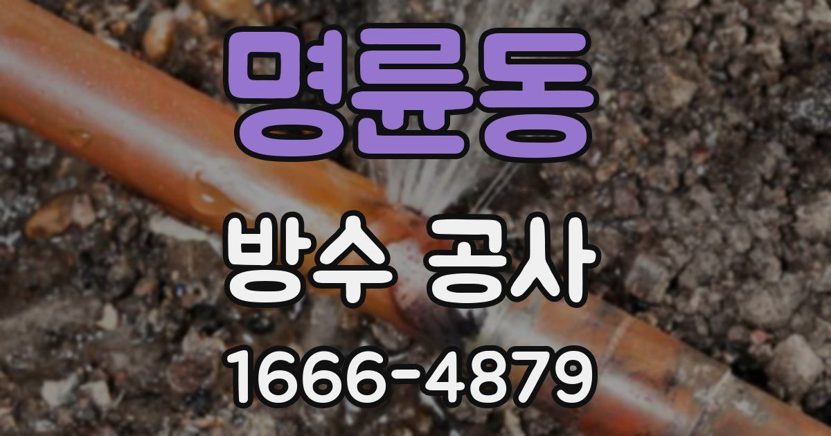 명륜동 방수 공사