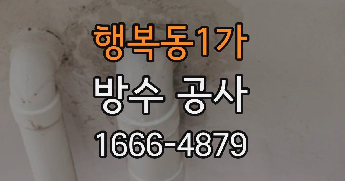 행복동1가 방수 공사