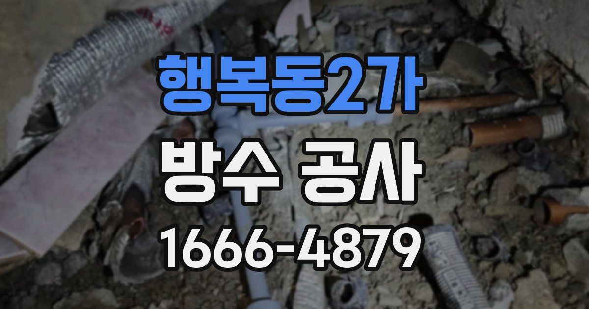 행복동2가 방수 공사