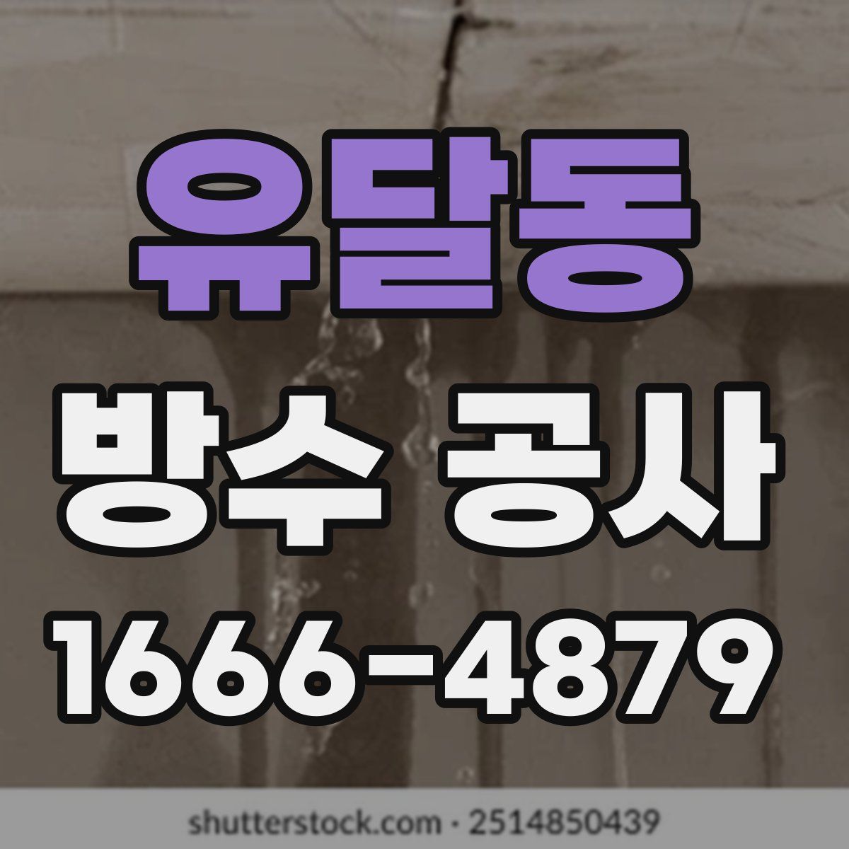 유달동 방수 공사