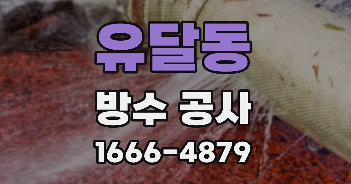 유달동 방수 공사