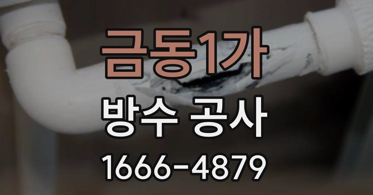 금동1가 방수 공사