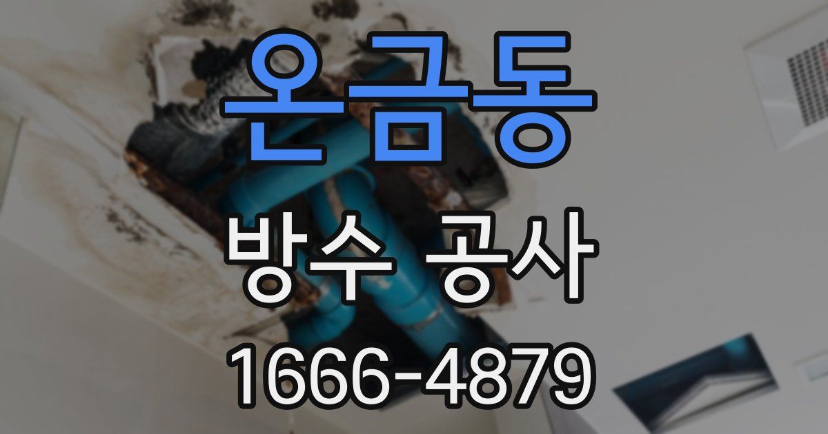 온금동 방수 공사
