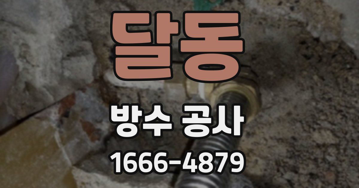 달동 방수 공사