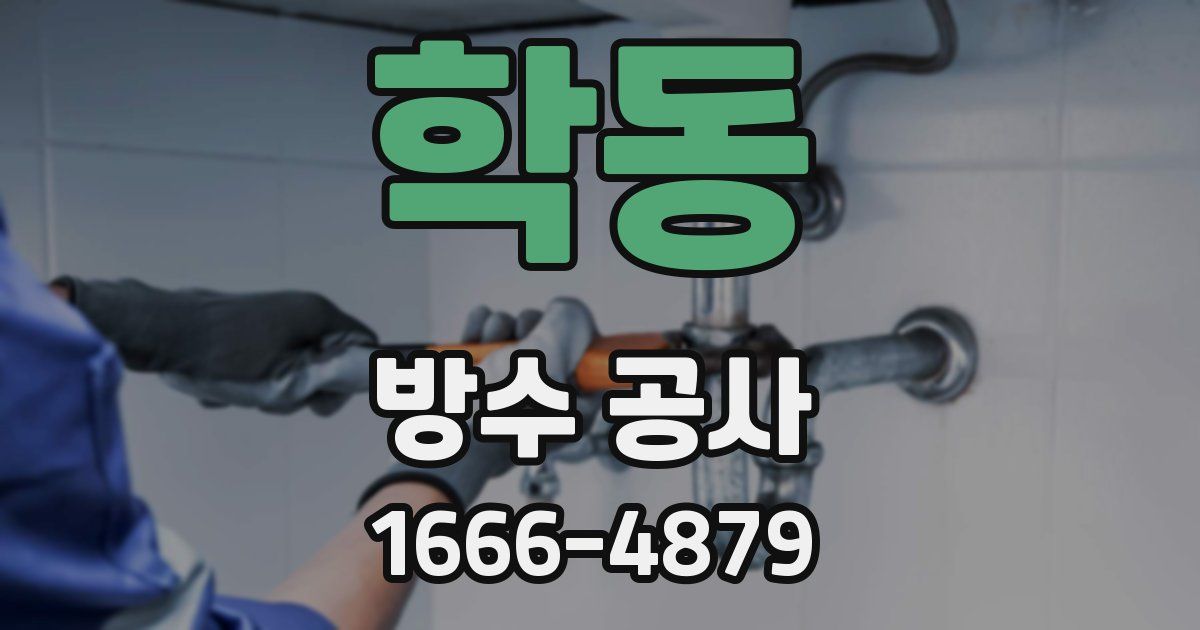 학동 방수 공사
