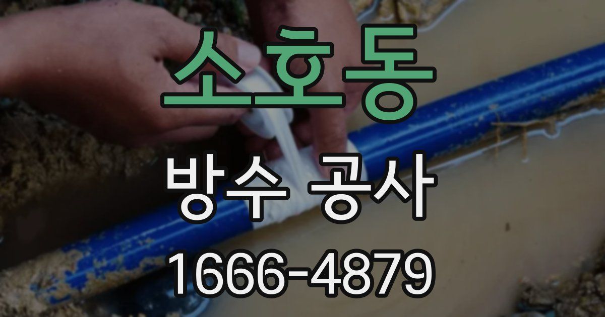 소호동 방수 공사