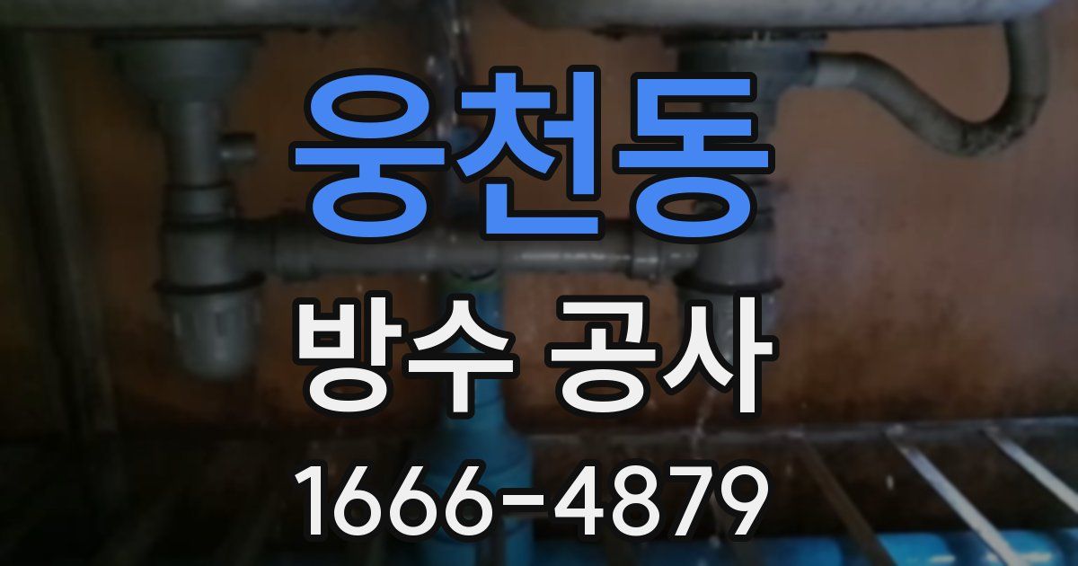 웅천동 방수 공사