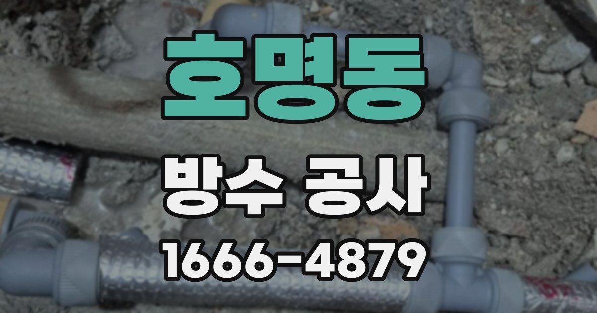 호명동 방수 공사