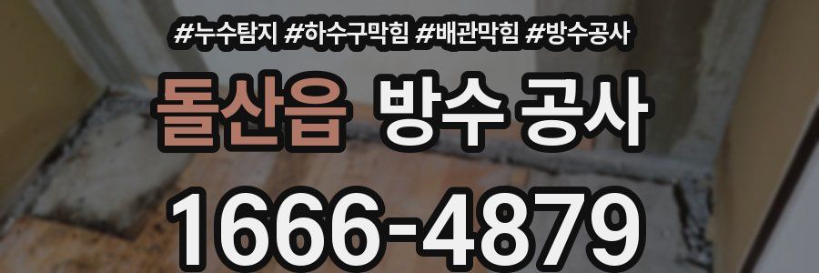 돌산읍 방수 공사
