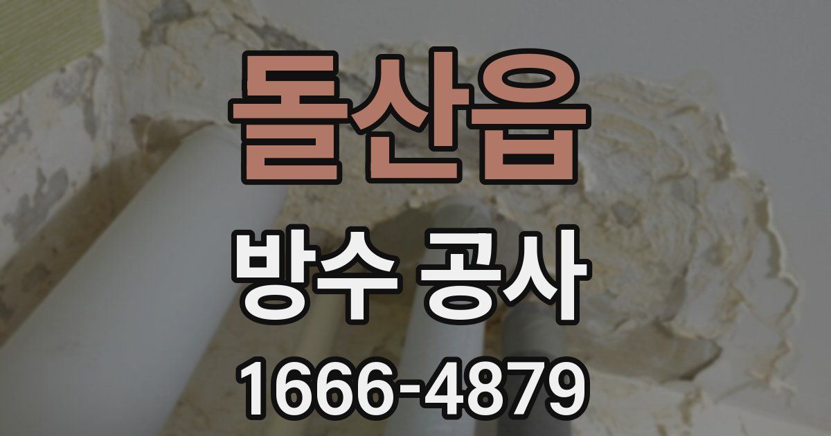 돌산읍 방수 공사