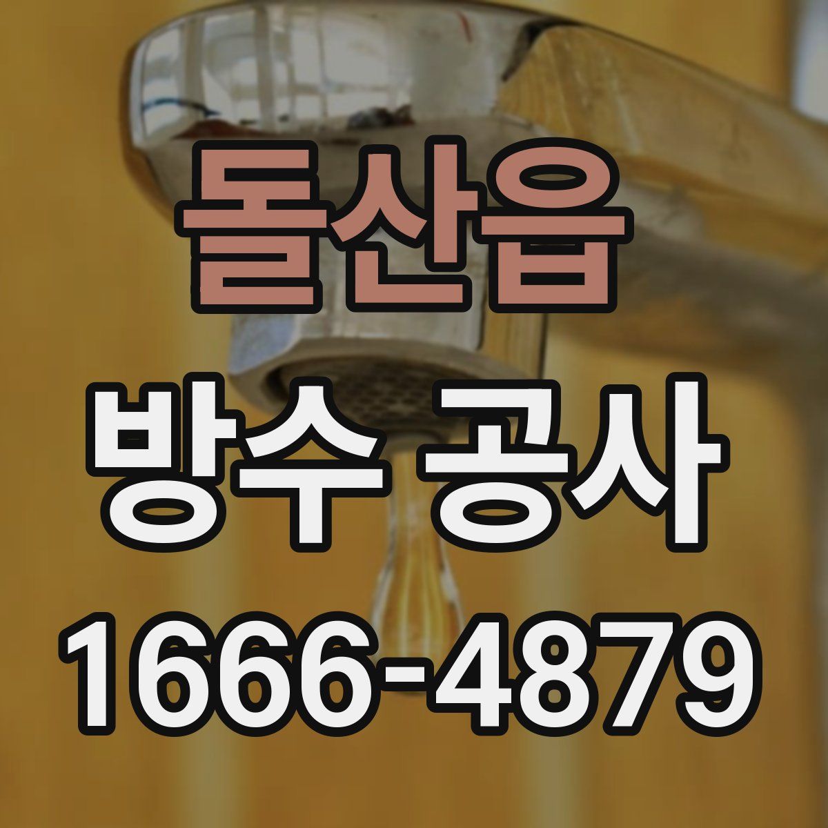 돌산읍 방수 공사