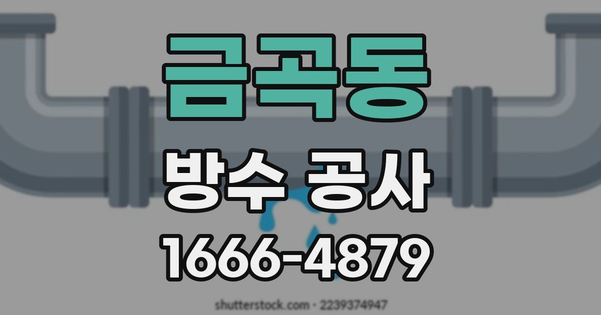 금곡동 방수 공사