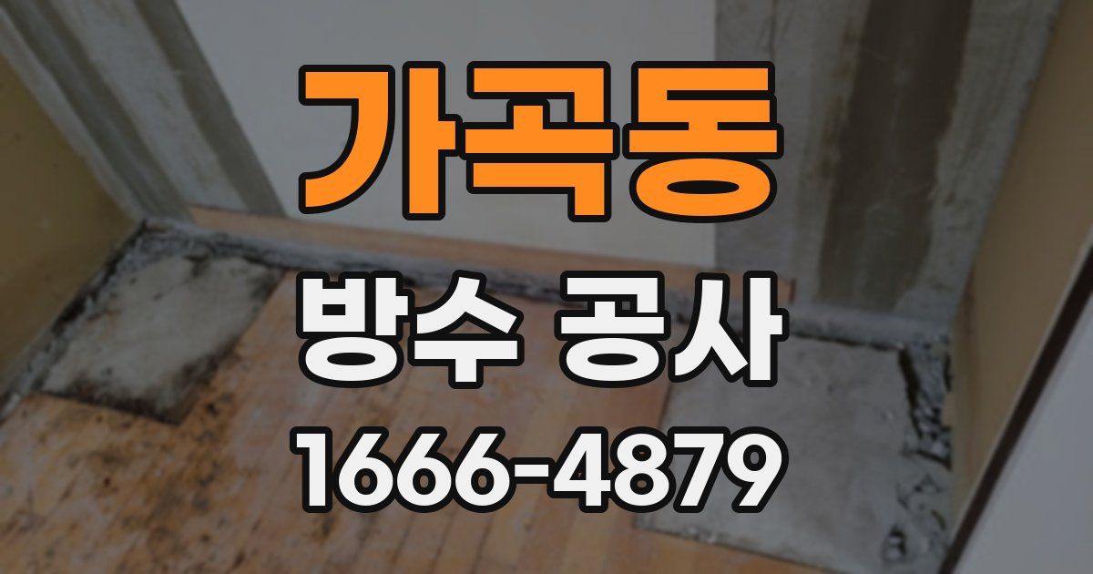 가곡동 방수 공사