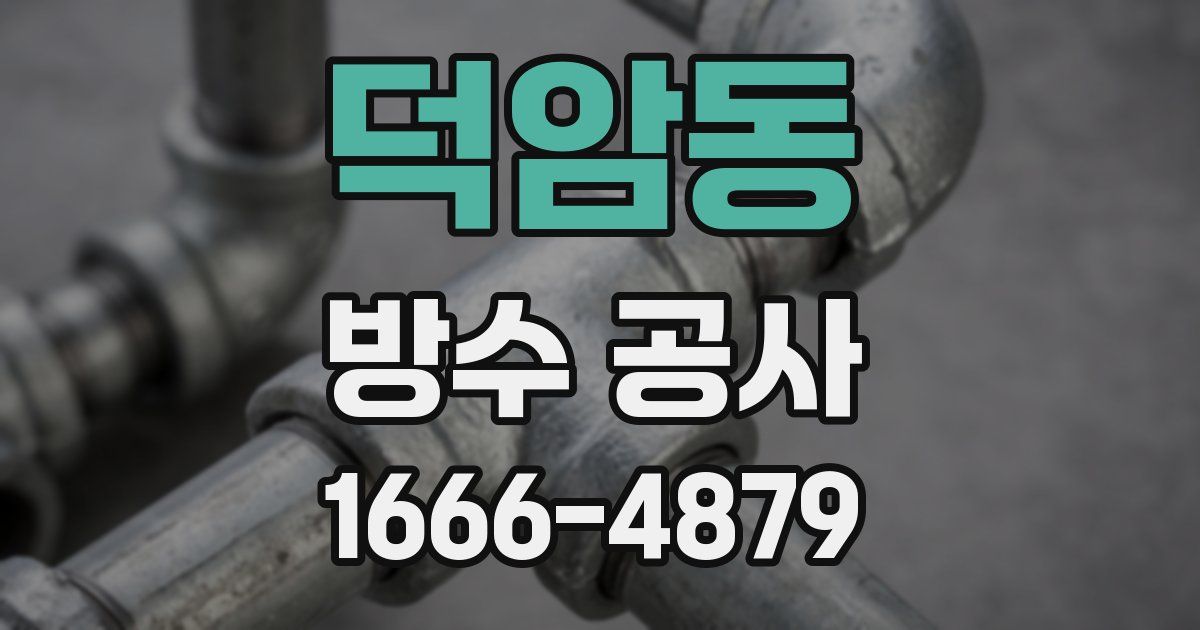 덕암동 방수 공사