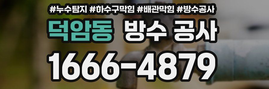 덕암동 방수 공사