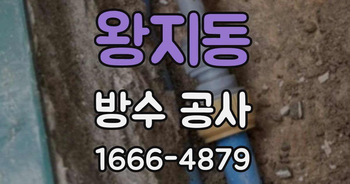 왕지동 방수 공사