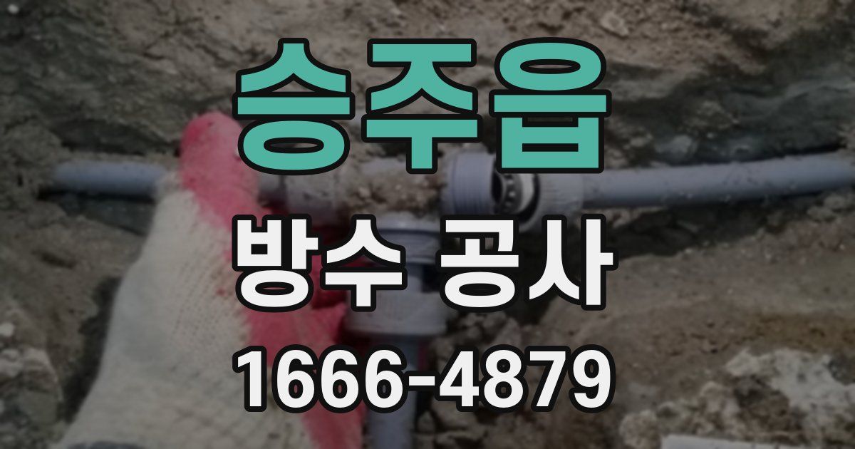 승주읍 방수 공사