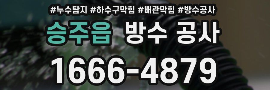 승주읍 방수 공사
