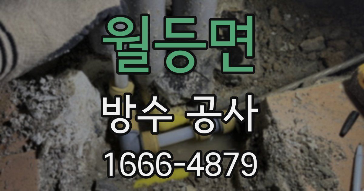 월등면 방수 공사