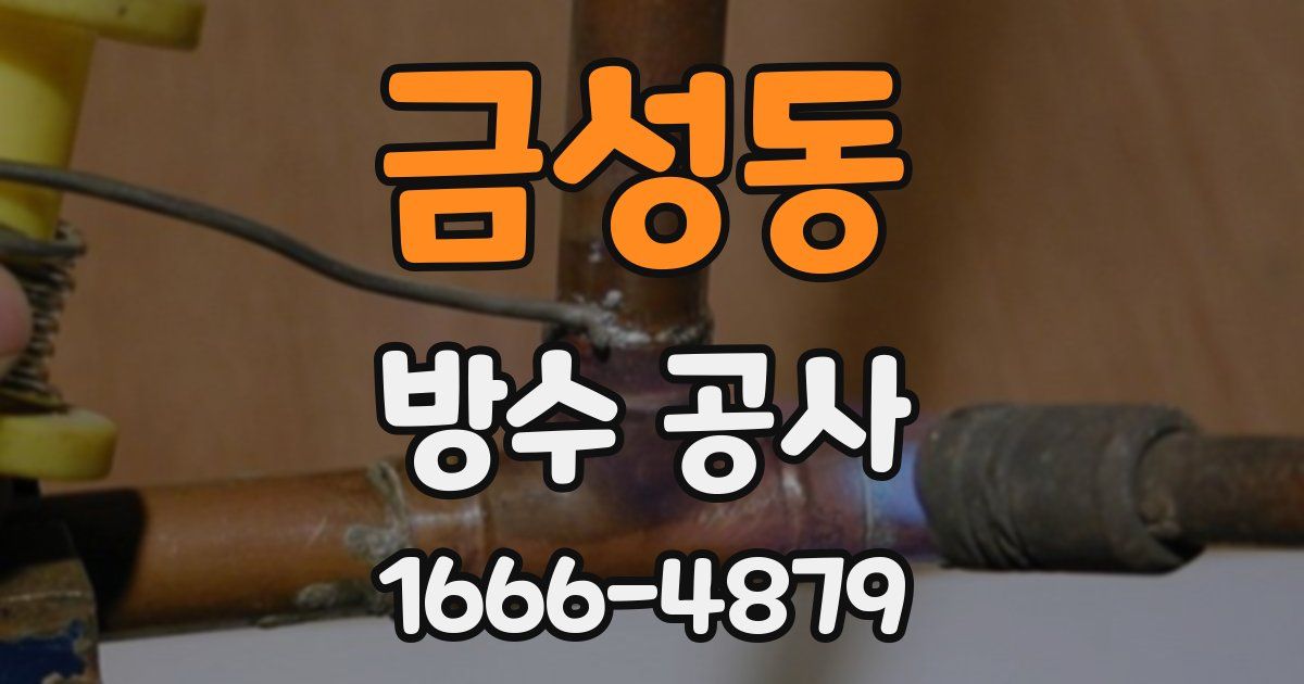 금성동 방수 공사
