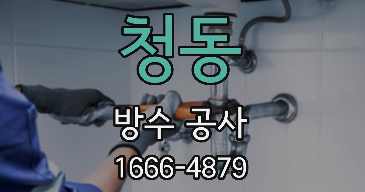 청동 방수 공사