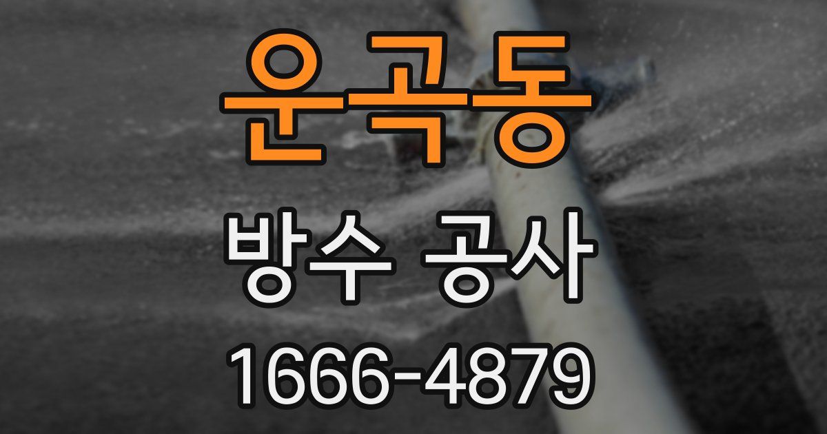 운곡동 방수 공사
