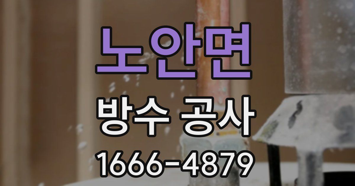 노안면 방수 공사