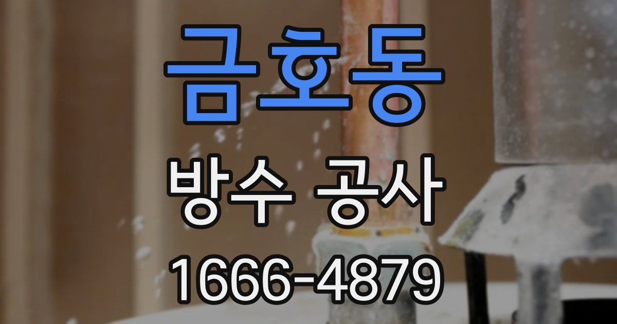 금호동 방수 공사