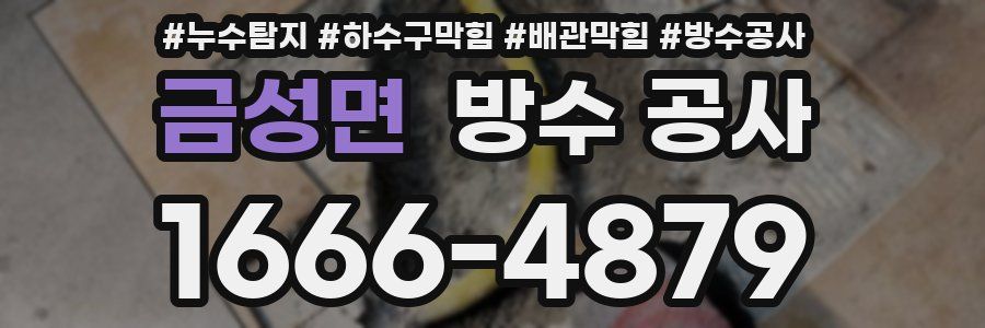 금성면 방수 공사