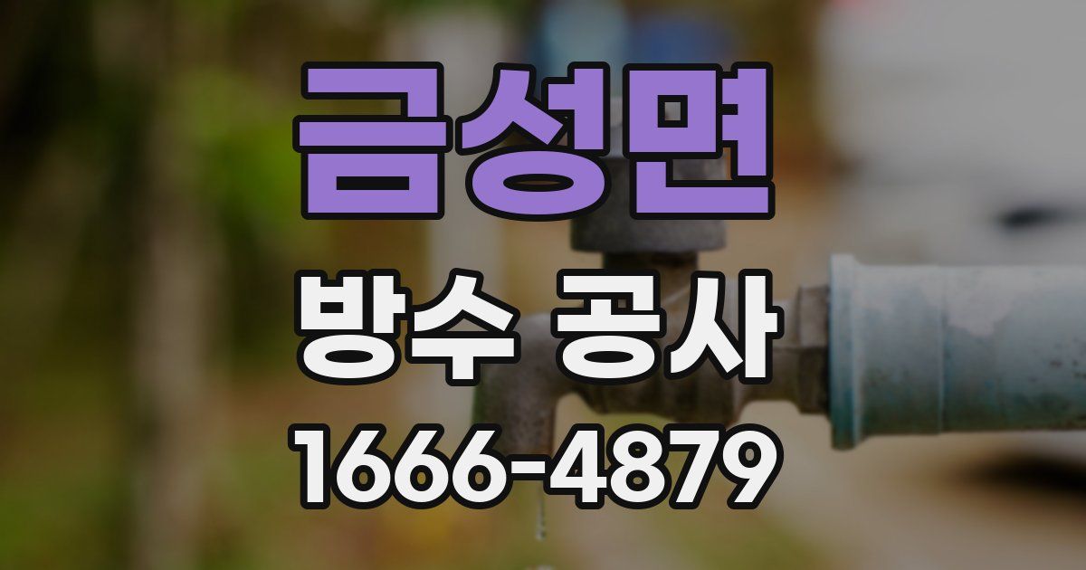 금성면 방수 공사