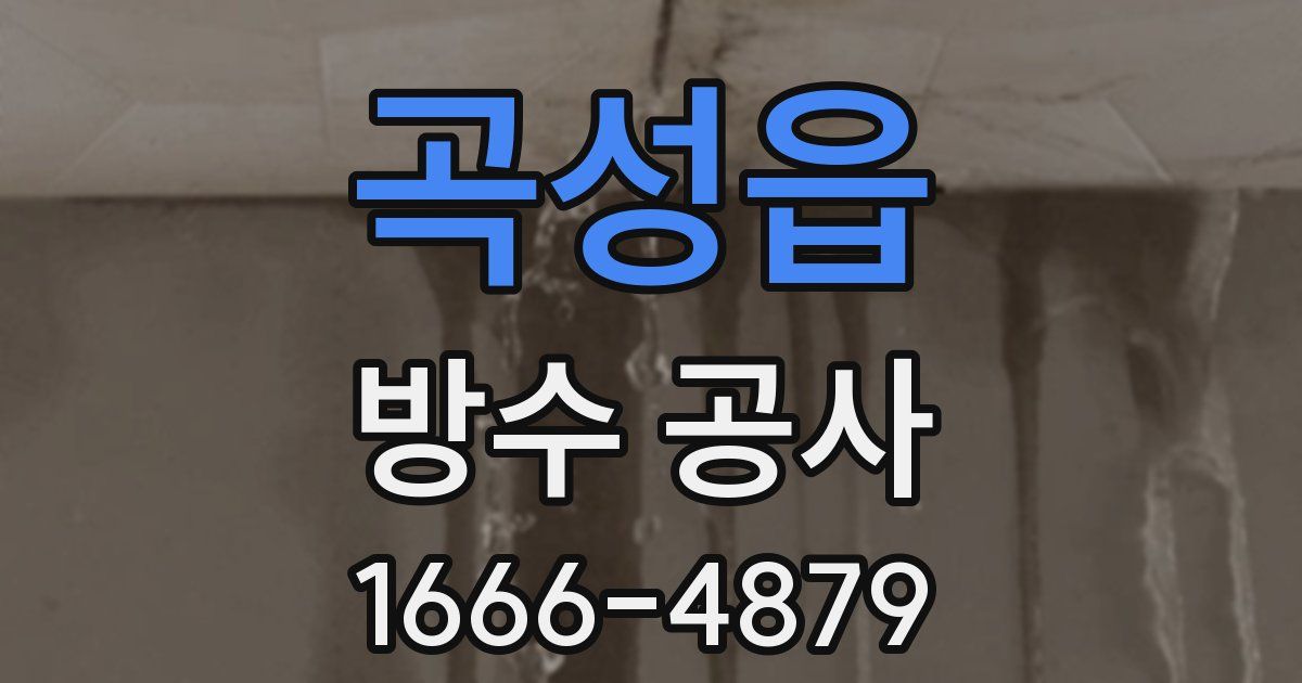 곡성읍 방수 공사
