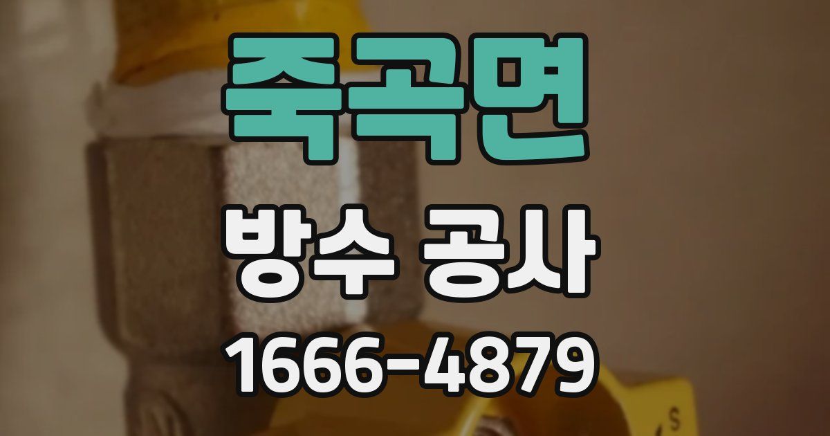 죽곡면 방수 공사