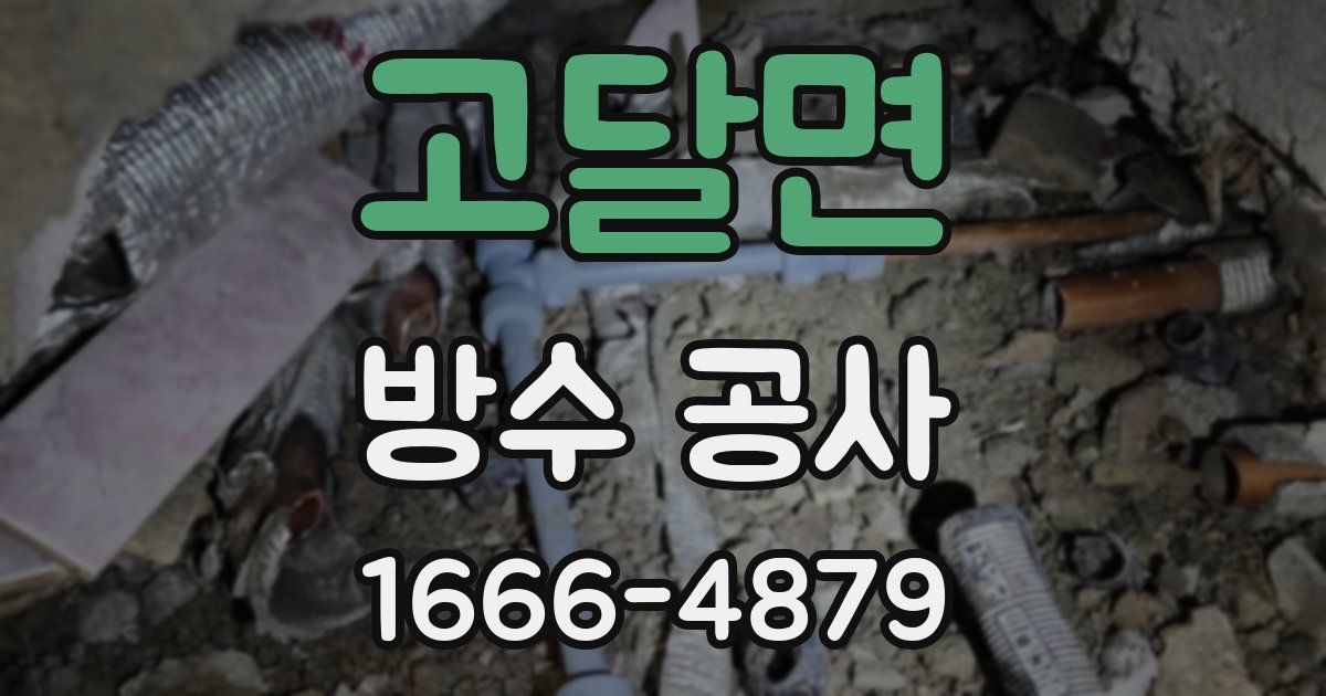 고달면 방수 공사