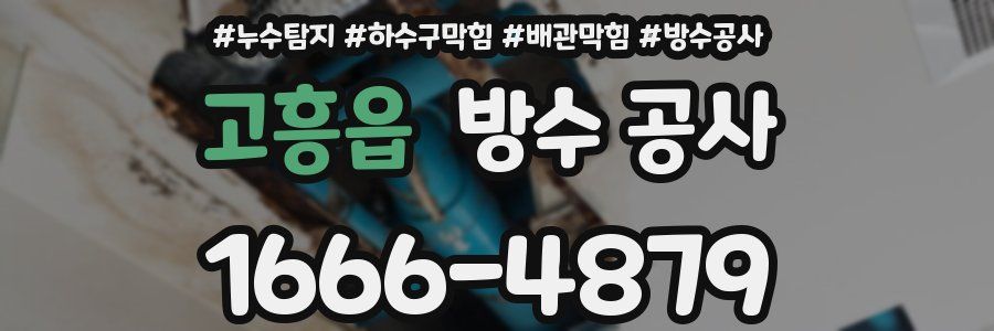 고흥읍 방수 공사