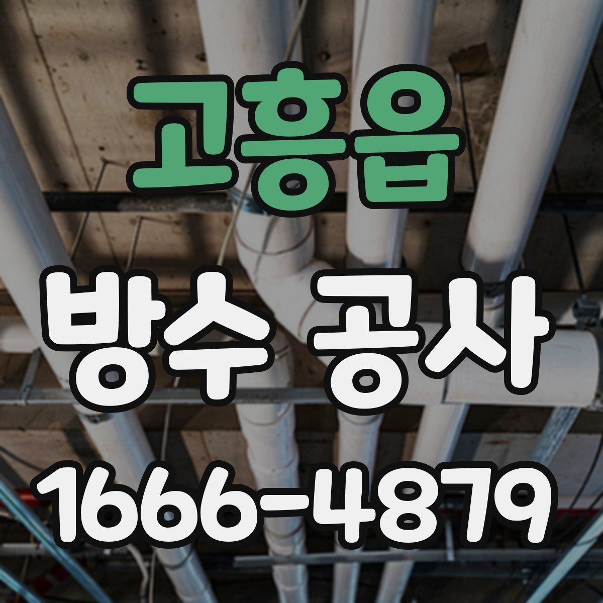 고흥읍 방수 공사