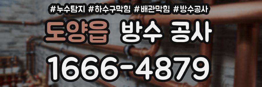 도양읍 방수 공사
