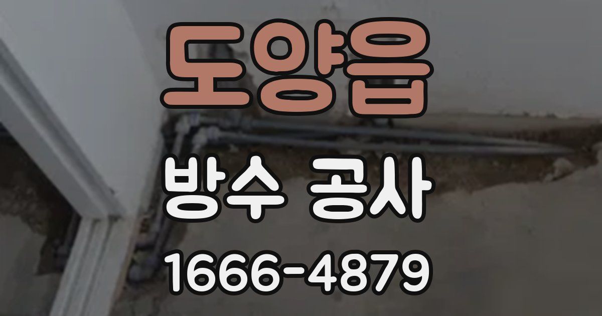 도양읍 방수 공사