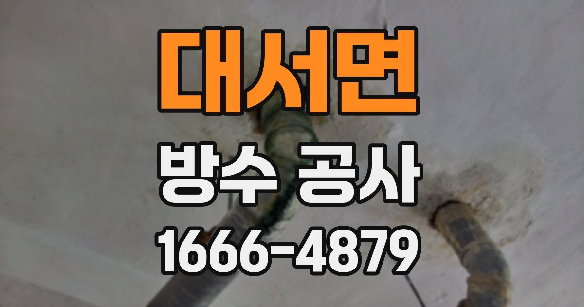 대서면 방수 공사