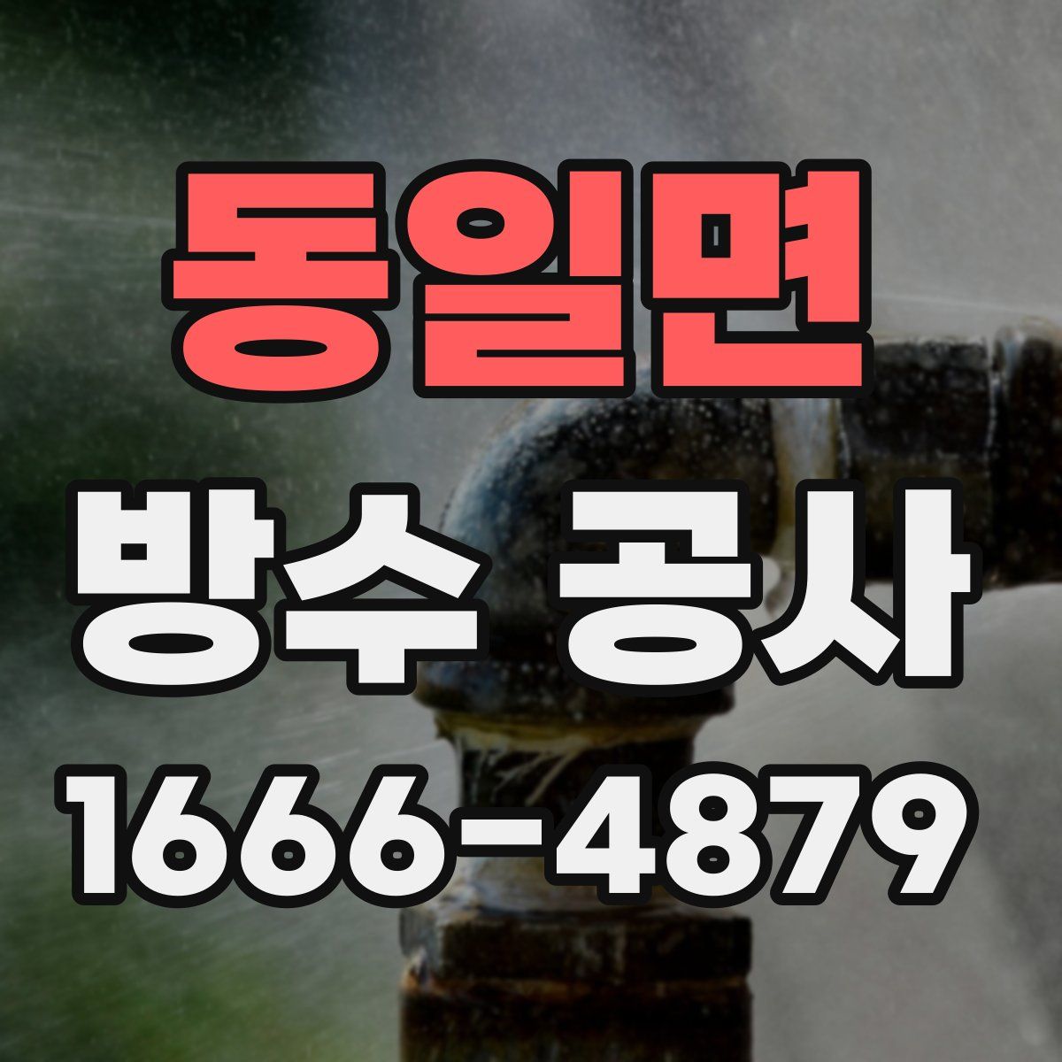 동일면 방수 공사