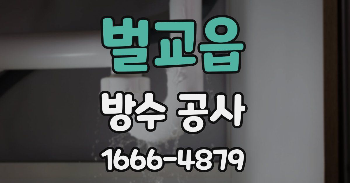 벌교읍 방수 공사