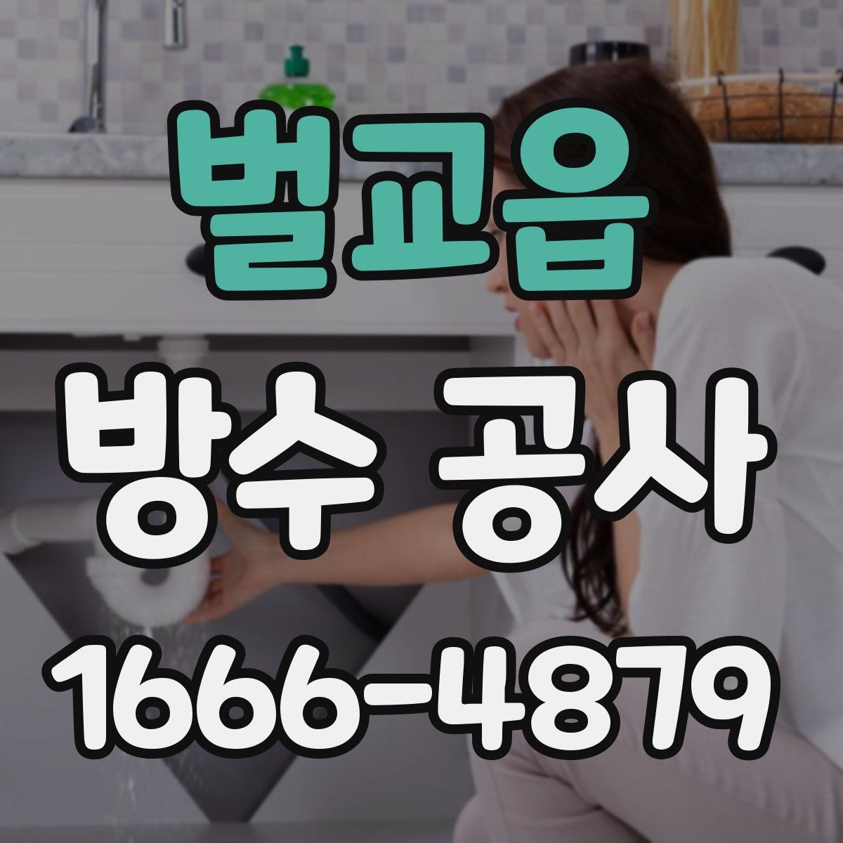 벌교읍 방수 공사