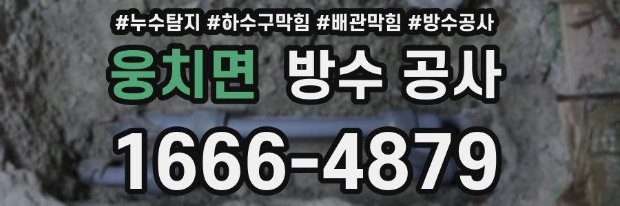 웅치면 방수 공사