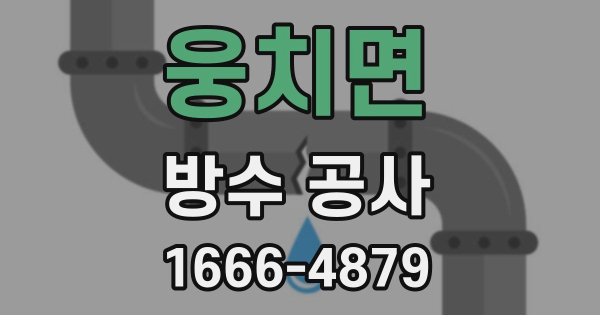 웅치면 방수 공사